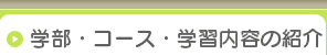 学部・コース・学習内容の紹介